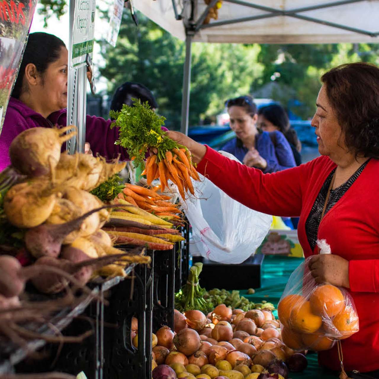 WEEKLY FARMER’S MARKET image 2